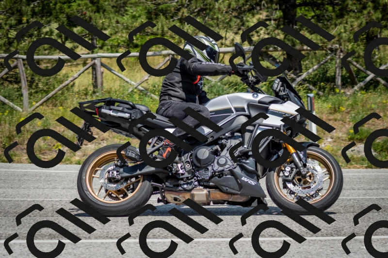 202506141440-DSC_8793_c2