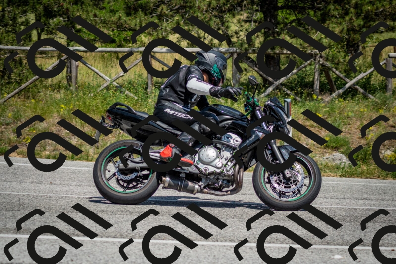 202506141444-DSC_8808_c2