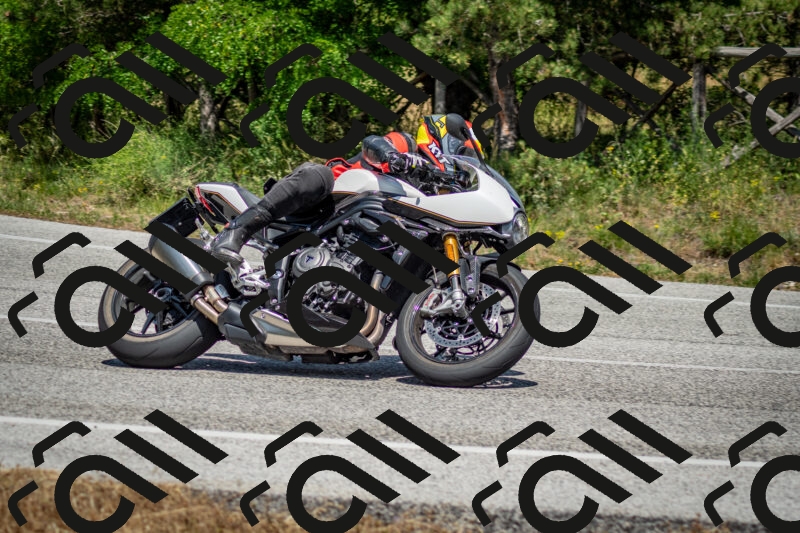 202506141446-DSC_8811_c2