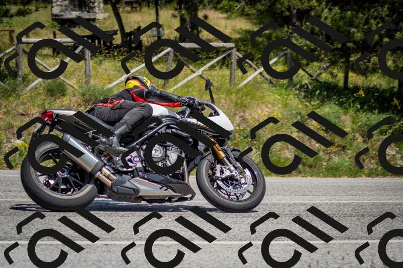 202506141446-DSC_8812_c2