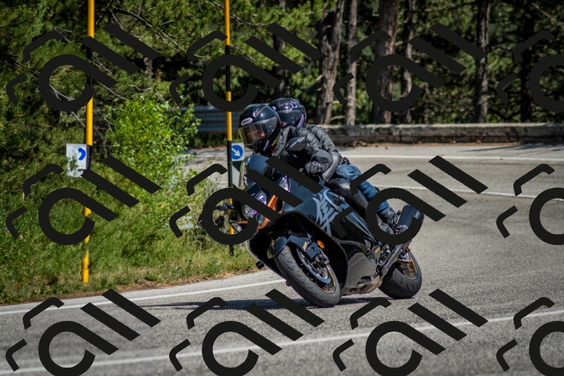 202506141451-DSC_8814_c2