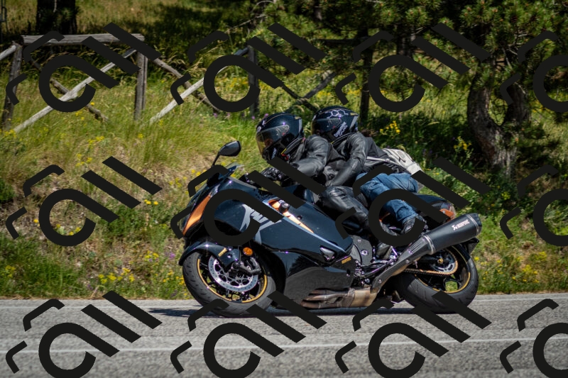 202506141451-DSC_8815_c2