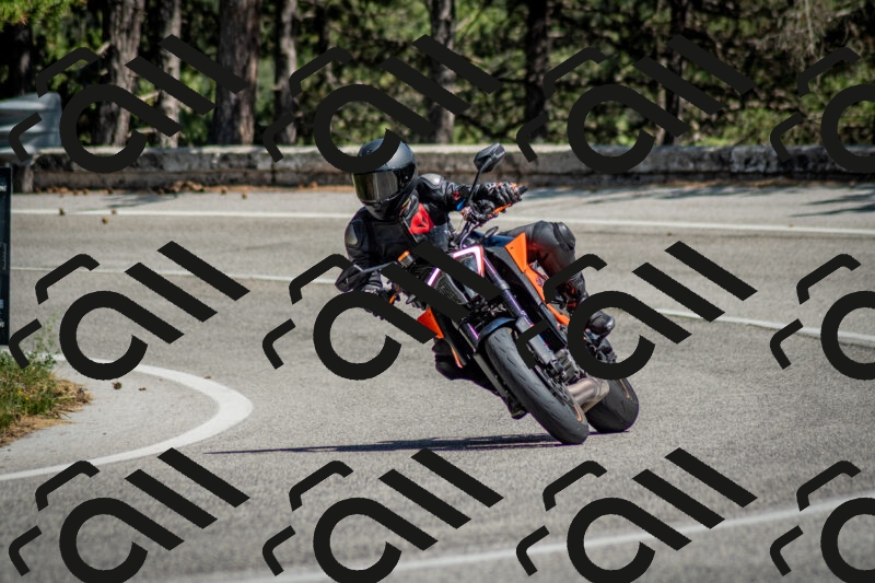 202506141451-DSC_8817_c2