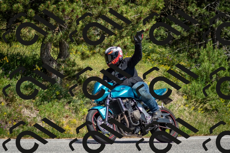 202506141451-DSC_8823_c2