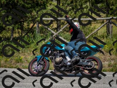 202506141451-DSC_8825_c2