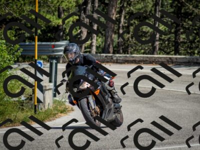 202506141451-DSC_8826_c2