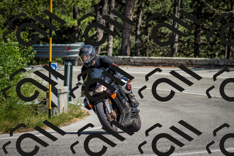 202506141451-DSC_8826_c2