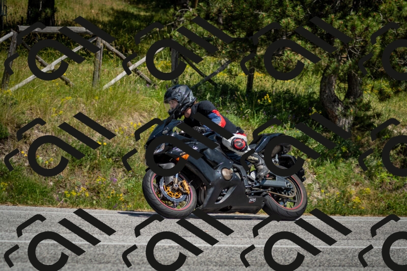 202506141452-DSC_8827_c2