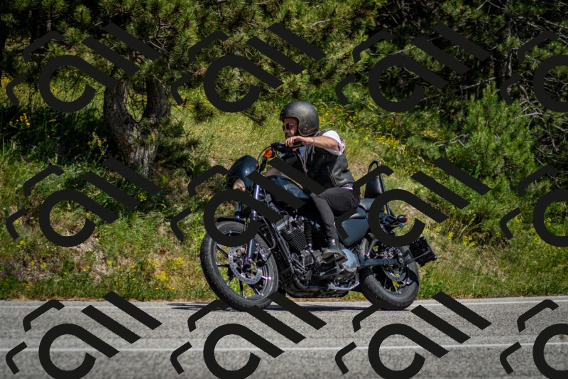 202506141452-DSC_8839_c2