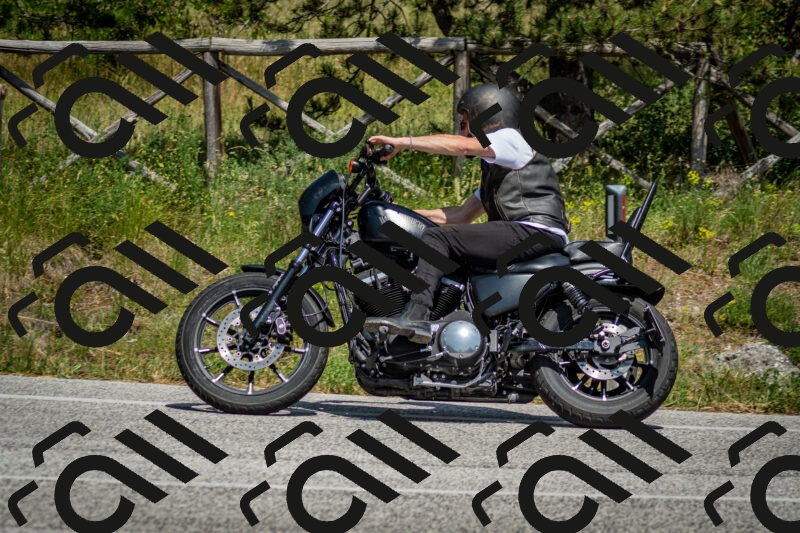 202506141452-DSC_8840_c2