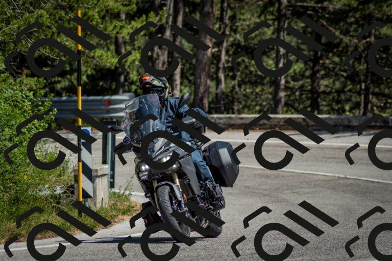 202506141453-DSC_8844_c2