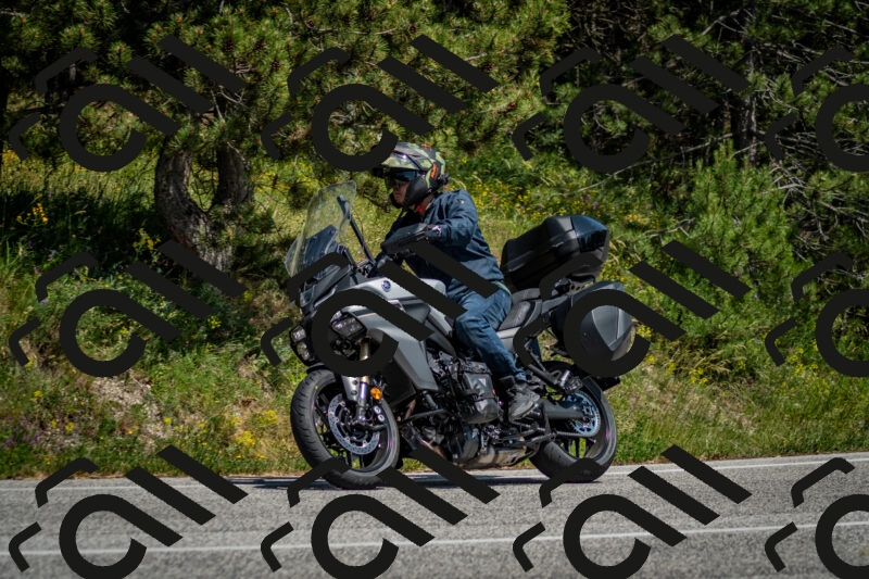 202506141453-DSC_8845_c2