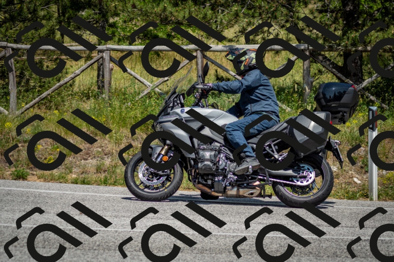 202506141453-DSC_8846_c2