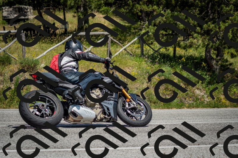 202506141454-DSC_8849_c2