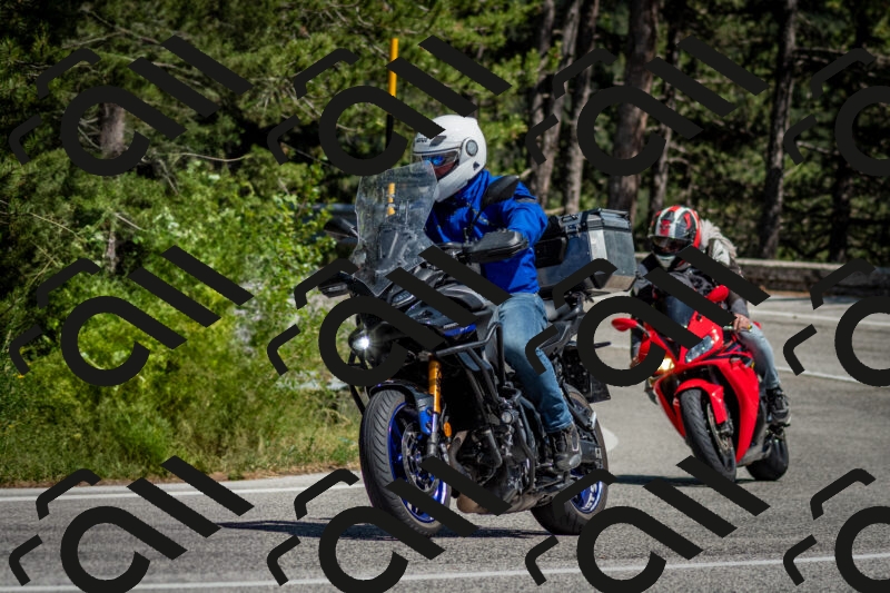 202506141456-DSC_8850_c2