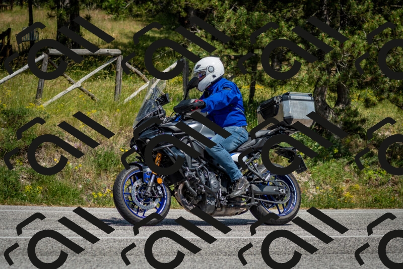 202506141456-DSC_8851_c2