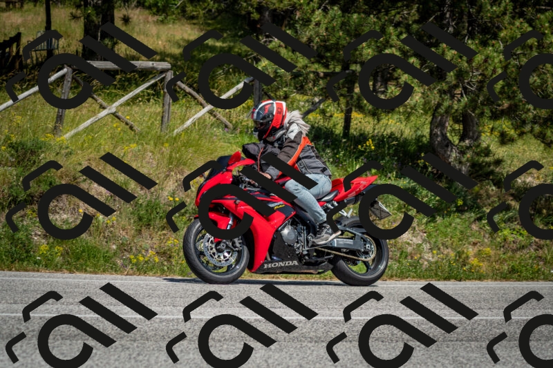 202506141456-DSC_8852_c2