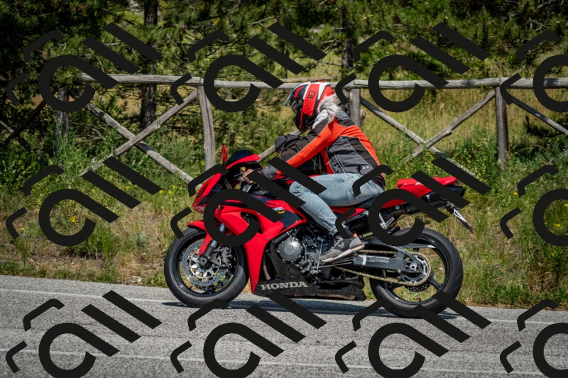 202506141456-DSC_8853_c2