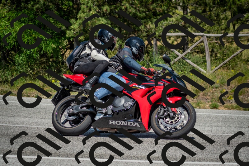 202506141456-DSC_8855_c2