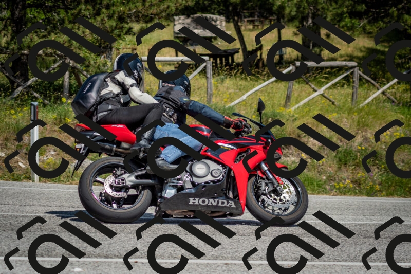 202506141456-DSC_8856_c2