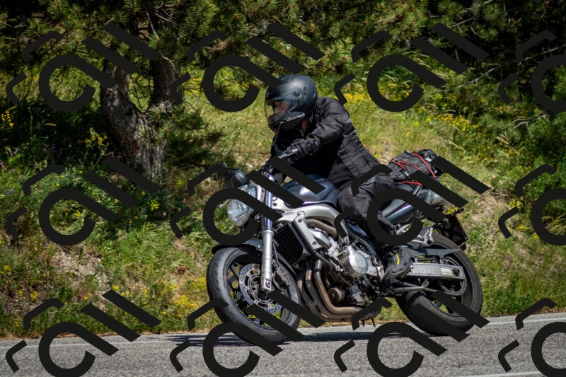 202506141457-DSC_8858_c2