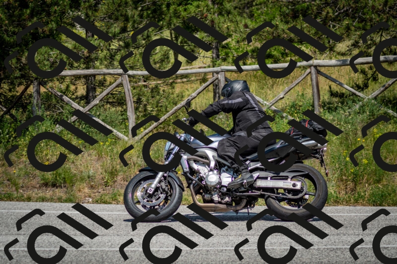 202506141457-DSC_8859_c2