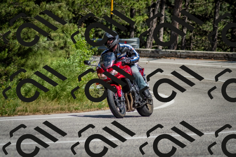 202506141457-DSC_8860_c2