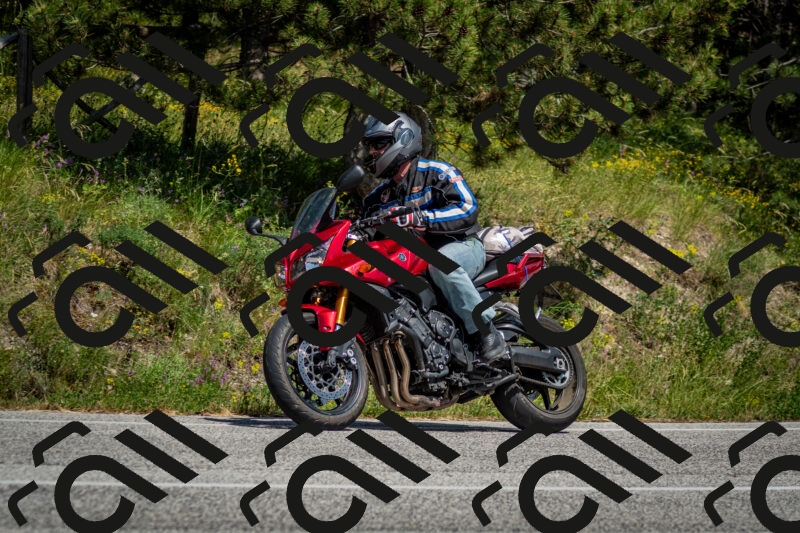 202506141457-DSC_8861_c2