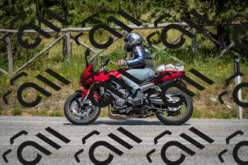 202506141457-DSC_8862_c2