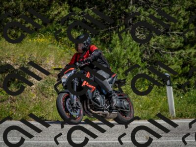 202506141459-DSC_8863_c2