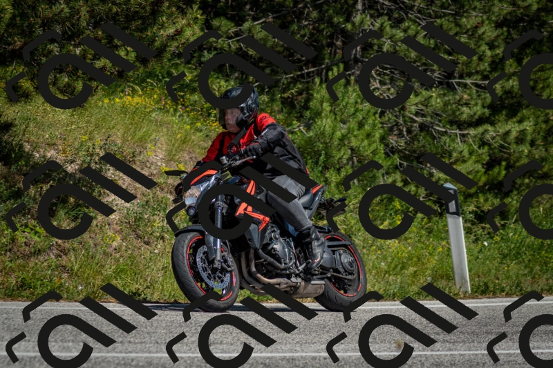 202506141459-DSC_8863_c2