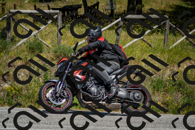 202506141459-DSC_8864_c2