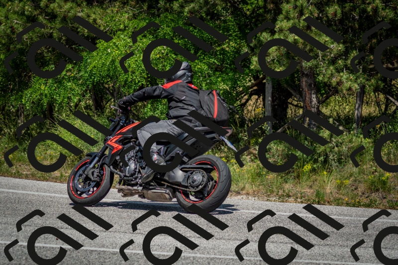 202506141459-DSC_8865_c2