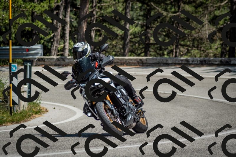 202506141459-DSC_8866_c2