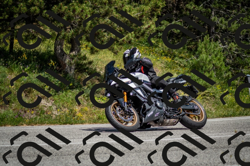 202506141459-DSC_8867_c2