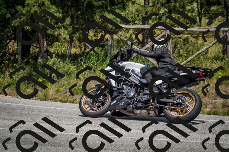 202506141459-DSC_8868_c2