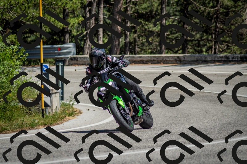 202506141459-DSC_8870_c2