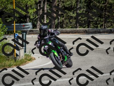 202506141459-DSC_8870_c2