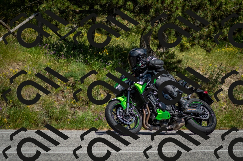 202506141459-DSC_8871_c2