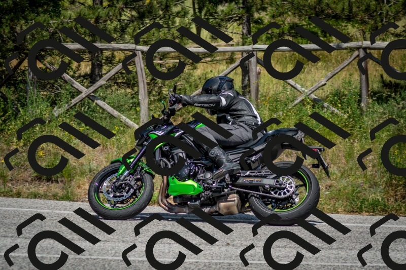 202506141459-DSC_8872_c2