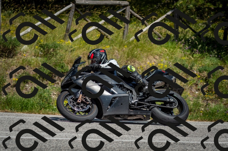 202506141500-DSC_8876_c2