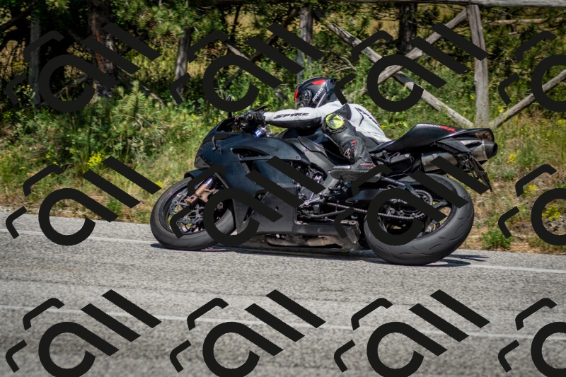 202506141500-DSC_8877_c2