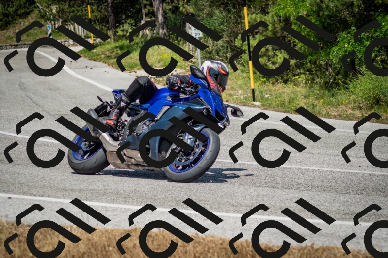 202506141500-DSC_8880_c2