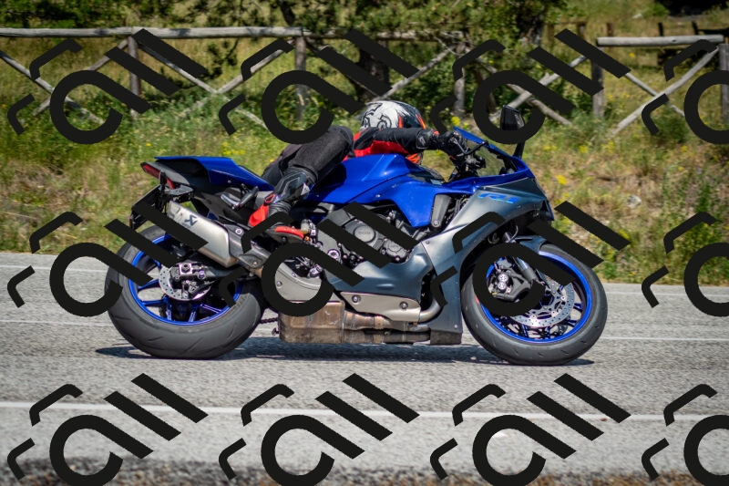 202506141500-DSC_8881_c2