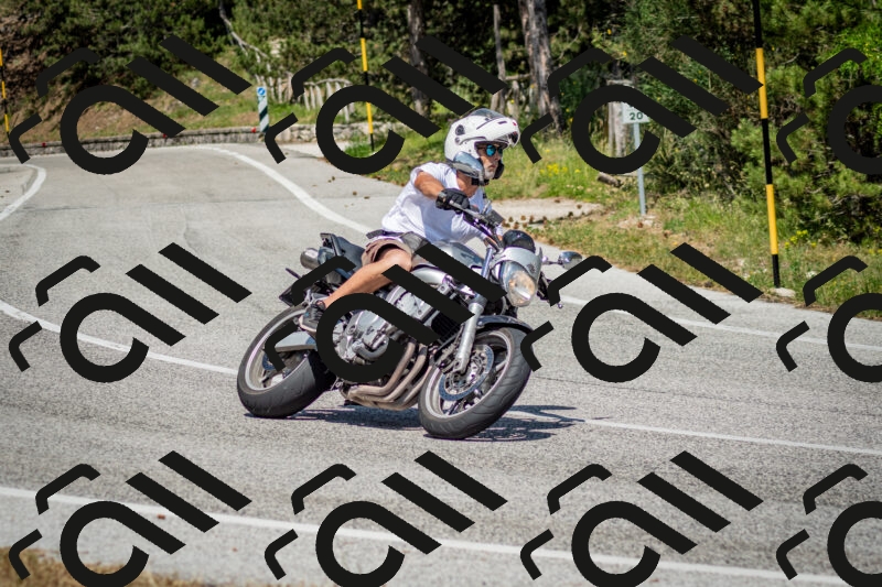 202506141503-DSC_8889_c2