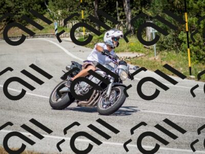 202506141503-DSC_8889_c2