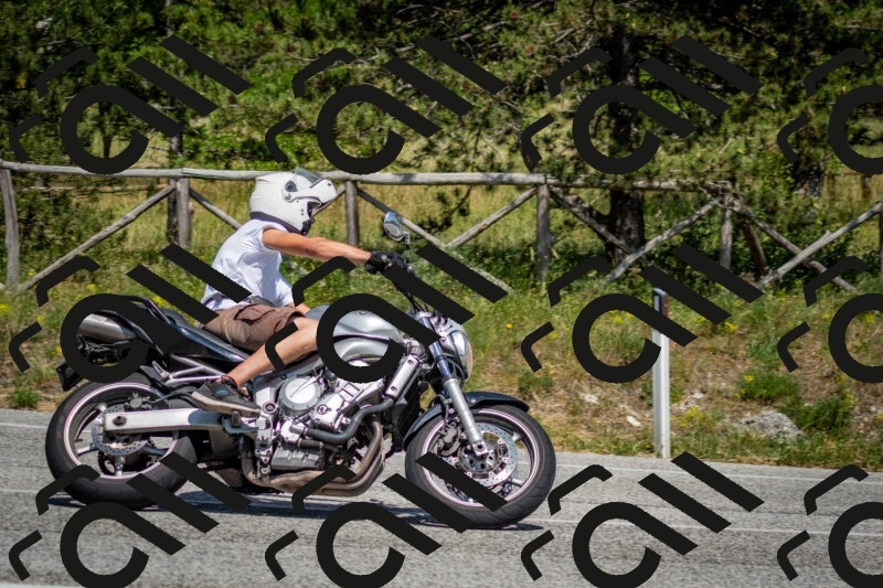 202506141503-DSC_8890_c2