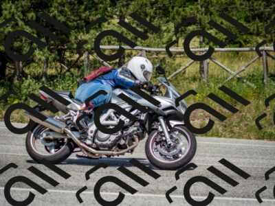 202506141503-DSC_8892_c2