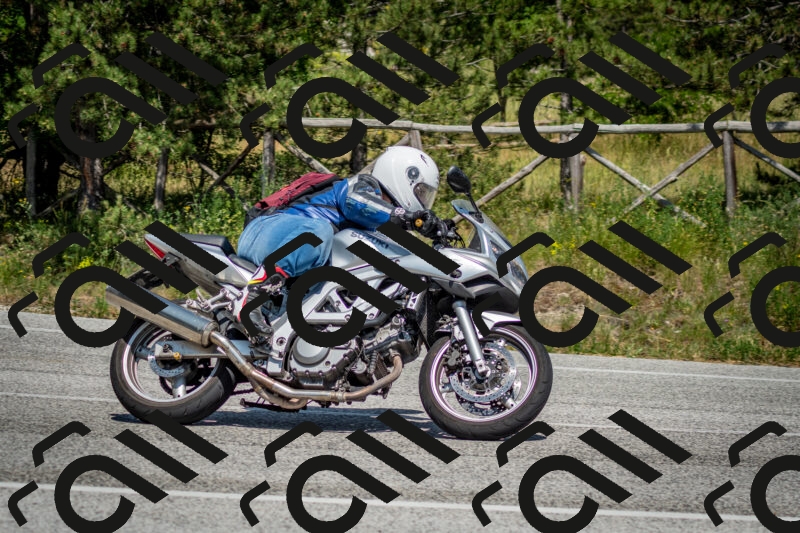 202506141503-DSC_8892_c2