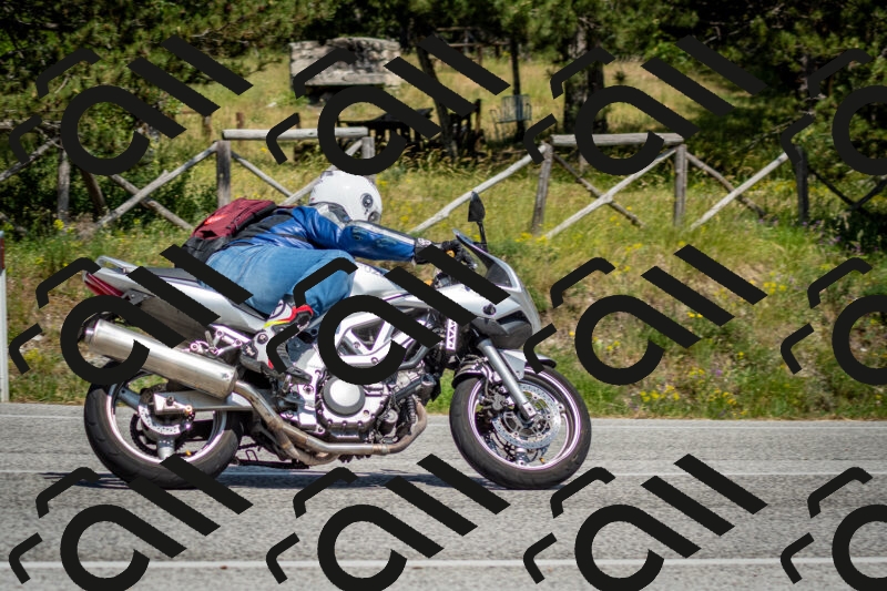 202506141503-DSC_8893_c2